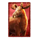 moose symbol from buffalo gold