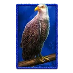 symbol eagle buffalo king