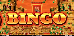 Don Bingote Bingo win